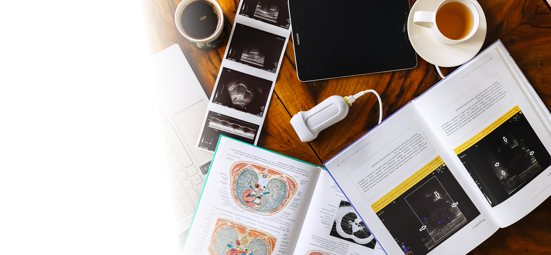 kursy USG płuc u dzieci